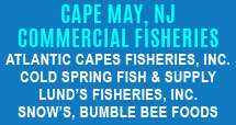 Cape May Commercial Fishing companies